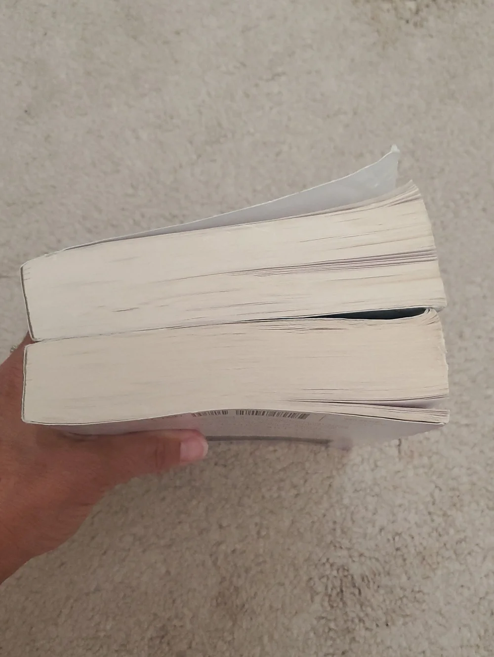 Dragoneer Academy Novels